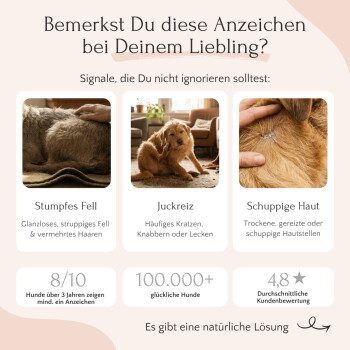 Fütterungsempfehlung für Hunde nach Gewicht mit Hepaskin-Supplement, zeigt tägliche Mengen und Dauer pro Dose.