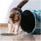 Eine neugierige dreifarbige Katze untersucht einen Haufen Katzenminze auf dem Boden in der Nähe eines blauen und schwarzen zusammenklappbaren Haustiertunnels.