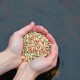 Eine Person hält eine Handvoll bunter Fischfutterpellets, die rot, grün und gelb sind, über einer dunklen Wasseroberfläche.