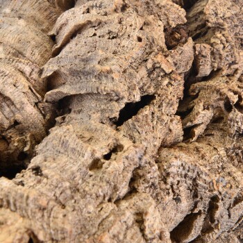 Nahaufnahme von strukturiertem natürlichem Treibholz, das seine raue Oberfläche und komplizierten Muster zeigt, ideal für Aquarien- oder Terrarium-Dekor.