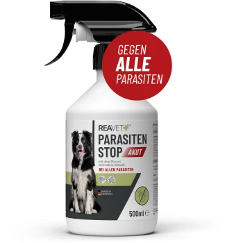Flasche von REAVET Parasiten Stop Akut, ein 500 ml Spray für Hunde, mit einem Bild eines schwarz-weißen Hundes, mit einem roten Etikett, das "Gegen alle Parasiten" besagt.