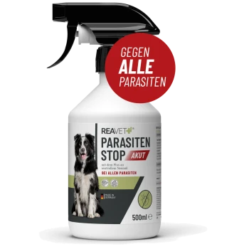 Flasche von REAVET Parasiten Stop Akut, ein 500 ml Spray für Hunde, mit einem Bild eines schwarz-weißen Hundes, mit einem roten Etikett, das "Gegen alle Parasiten" besagt.