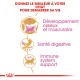 Image promouvant la nutrition des chats avec le texte "Donnez le meilleur à votre chat" et des icônes pour la santé des os, la digestion et l'immunité.