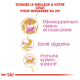 Image promouvant la nutrition des chats avec le texte "Donnez le meilleur à votre chat" et des icônes pour la santé des os, la digestion et l'immunité.