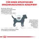 Illustration eines Hundes, der die Ernährungsbedürfnisse hervorhebt: Proteinallergien, Zahngesundheit und Harnsteine.