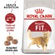 Royal Canin Regular Fit 32 cat food bag featuring a playful cat illustration, with text highlighting health nutrition and optimal nutrient profile.