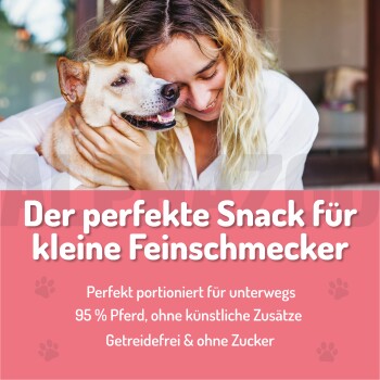 Ein zylindrischer Behälter für Haustierleckerlis mit einem rosa Deckel und schwarzem Boden, mit einem Pfotenabdruck-Logo und dem Text "SOFT" und "FÜR HUNDE."