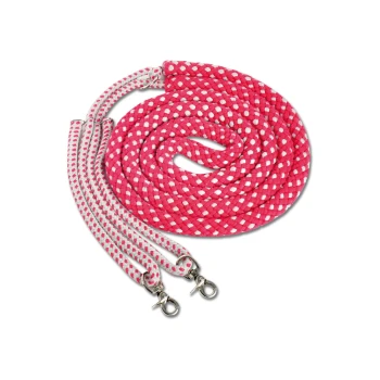Eine gewickelte pink-weiße kariert Haustierleine mit zwei Metallclips an den Enden, auf einem weißen Hintergrund präsentiert.