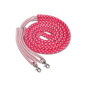 Eine gewickelte pink-weiße kariert Haustierleine mit zwei Metallclips an den Enden, auf einem weißen Hintergrund präsentiert.