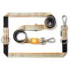 Hundeleinen- und Halsband-Set mit geometrischem Muster und Metallverschlüssen, mit dem Label „Max & Molly Urban Pets“.