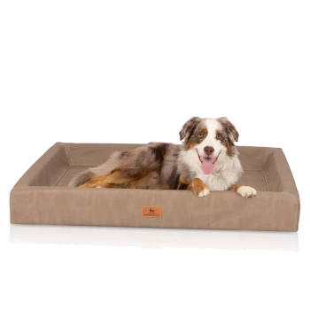 Australian Shepherd (Gesicht unscharf) liegt entspannt in einem hellbraunen, rechteckigen Hundebett mit Lederpatch 'KNUFFELWUFF'.