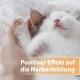 Eine Nahaufnahme eines schlafenden Kätzchens, das sanft von einer Hand gehalten wird, mit dem Text "Positiver Effekt auf die Narbenbildung" überlagert.