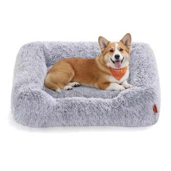 Ein glücklicher Corgi liegt auf einem weichen, grauen Haustierbett, trägt ein orangefarbenes Halstuch und hat ein gemütliches und einladendes Aussehen.