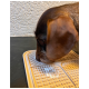 Nahaufnahme eines braunen Hundes, der eine Silikon-Haustierfütterungsmatte mit strukturierten Abschnitten schnüffelt, die teilweise mit Futterresten bedeckt ist.