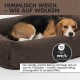 Nahaufnahme einer braunen Haustierdecke mit dem Etikett "PAW WOW"; der Text lautet "HIMMELWEICH - WIE AUF WOLKEN" und beschreibt sie als weich und sicher.