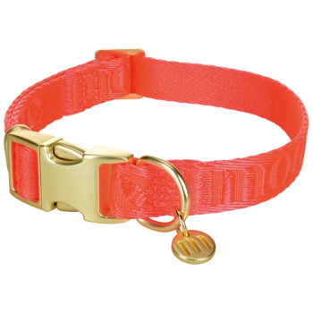 Hellorange verstellbares Haustierhalsband mit goldener Schnalle, D-Ring und rundem goldfarbenem Anhänger mit "m"-Logo.