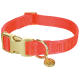 Jasnopomarańczowa regulowana obroża dla zwierząt z złotą klamrą, kółkiem D-ring i okrągłą złotą zawieszką z logo „m”.