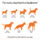 Illustration, die die Größen von Hunden für Nylabone zeigt: XX-Klein bis XX-Groß. Text: "Für jeden Hund gibt es ein Nylabone!" und "Wählen Sie die richtige Größe."