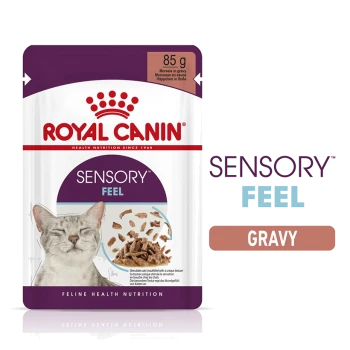 Royal Canin Sensory Feel cat food pouch, 85g, featuring a gray cat with closed eyes, showcasing morsels in gravy.