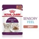 Royal Canin Sensory Feel cat food pouch, 85g, featuring a gray cat with closed eyes, showcasing morsels in gravy.