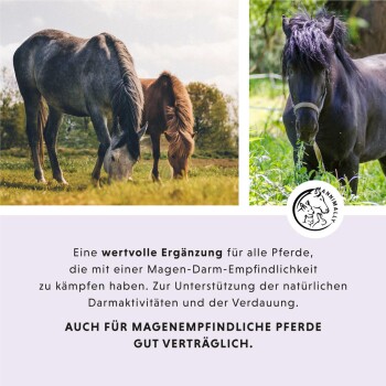 Zwei Pferde grasen auf einer Wiese, mit Text, der ein Ergänzungsmittel für Pferde mit Verdauungsempfindlichkeit bewirbt, das gut verträglich ist.
