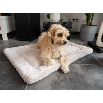 Ein kleiner, flauschiger Hund ruht auf einem weichen, hellen Haustierbett in einem modernen Wohnzimmer mit grauen Fliesen und Zimmerpflanzen.