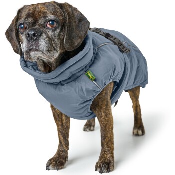 Ein braun gestromter Hund trägt eine gemütliche graue Daunenjacke mit Kapuze und steht vor einem weißen Hintergrund.