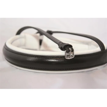 Schwarzes und weißes Haustierhalsband mit einem eleganten Design, mit einer glänzenden silbernen Schnalle und einem gepolsterten Innenraum für Komfort.
