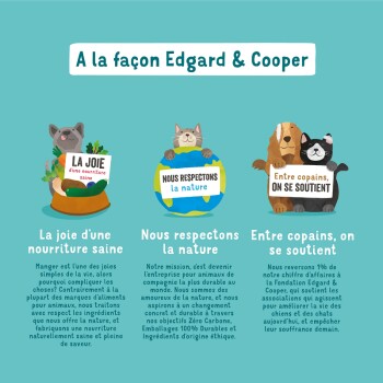 Illustration pour la nourriture pour animaux Edgard & Cooper : un chien avec une plante, un chat avec un globe, mettant en avant une nourriture saine et un soutien aux œuvres de charité pour animaux.