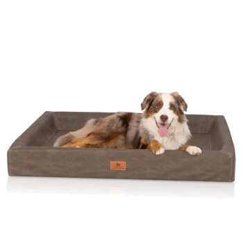 Ein glücklicher Australian Shepherd Hund, der auf einem stilvollen braunen Haustierbett mit einem Logoetikett, das "KNUFFELDUPP" liest, entspannt.