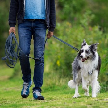 Eine Person in einem blauen Hemd und einem dunklen Hoodie führt einen glücklichen, flauschigen Border Collie an einer orangefarbenen Leine in einer grünen Umgebung.