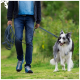 Eine Person in einem blauen Hemd und einem dunklen Hoodie führt einen glücklichen, flauschigen Border Collie an einer orangefarbenen Leine in einer grünen Umgebung.
