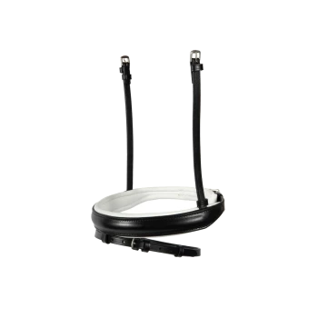 Schwarzes Leder-Halsband für Haustiere mit einem weißen gepolsterten Innenraum, mit verstellbaren Riemen und einer silbernen Schnalle.