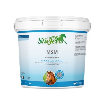 Klare Plastiktüte mit "Stiefel MSM" weißem Pulver, beschriftet als organische Schwefelverbindung für das Pferdefell, die Haut, die Hufe und die Gelenke.