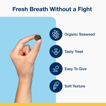 Hand holding round pet treat; text: 'Fresh Breath Without a Fight' and: Organic Seaweed, Tasty, Easy to Give, Soft Texture.