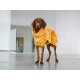 Hundebademantel "Amber" 65 cm