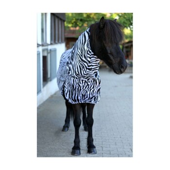 Ein schwarzes Pferd, das eine zebra-gestreifte Decke trägt, steht auf einem Kopfsteinpflasterweg, mit Bäumen und einem Gebäude im Hintergrund.