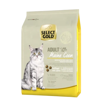 Sac de nourriture pour chats avec un chat Maine Coon, étiqueté "SELECT GOLD ADULT Maine Coon," avec des détails sur les ingrédients de volaille et de saumon.