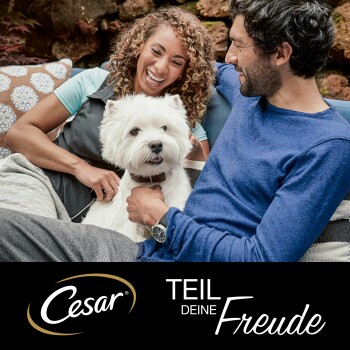 Un couple est assis sur un canapé, tenant un petit chien blanc. L'image présente le logo de la marque Cesar et le texte "TEIL DEINE Freude."
