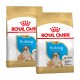 Zwei Taschen mit Royal Canin Bulldog Puppy Hundefutter, mit einem Bulldoggenwelpen auf der Vorderseite, gekennzeichnet für Welpen bis zu 12 Monaten.