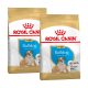 Zwei Taschen mit Royal Canin Bulldog Puppy Hundefutter, mit einem Bulldoggenwelpen auf der Vorderseite, gekennzeichnet für Welpen bis zu 12 Monaten.