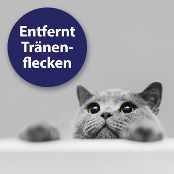 Eine entspannte getigerte Katze, die auf einem hellen Sofa ruht, mit dem Text "Von Tierärzten empfohlen" in Pink darüber.