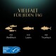 Das Bild zeigt den Text "Vielfalt für jeden Tag" mit Illustrationen von Fischarten: Weißfisch, Lachs und Thunfisch, neben einem MSC-Zertifizierungslogo.