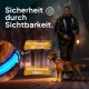 Eine Person führt einen Golden Retriever mit einem blauen LED-Halsband in einem schwach beleuchteten Park. Der Text hebt Sicherheits- und Sichtbarkeitsmerkmale hervor.