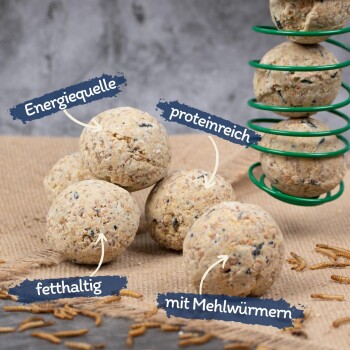 Proteinreiche Energiebällchen aus Mehlwürmern, beschriftet mit "Energiequelle", "proteinreich", "fetthaltig" und "mit Mehlwürmern."