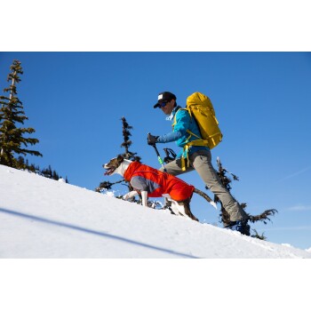 Eine Person in einer blauen Jacke und einem gelben Rucksack wandert einen verschneiten Hang hinauf, mit einem Hund in einem roten Mantel vor einem klaren blauen Himmel.