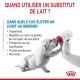 Une main tient un biberon pour un chiot. Le texte au-dessus demande : "Quand utiliser un substitut de lait ?" et énumère les raisons de l'alimentation au biberon.
