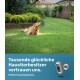 Ein Golden Retriever auf grünem Gras schaut zu einer PetTec-Kamera auf. Text: "Tausende glückliche Haustierbesitzer vertrauen uns."