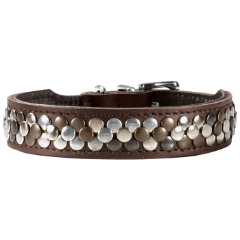 Stylische braune Lederhalsband für Haustiere, verziert mit metallischen Nieten in Silber- und Goldtönen.