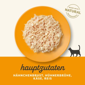 Zerrissenes Hähnchen, Käse und Reis auf einem orangefarbenen Teller, mit dem Text "hauptzutaten" und "Hähnchenbrust, Hühnerbrühe, Käse, Reis."